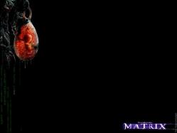 Matrix